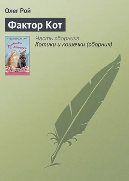 Олег Рой Фактор Кот обложка книги