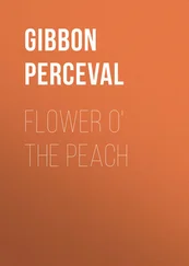 Perceval Gibbon - Flower o' the Peach