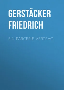 Friedrich Gerstäcker Ein Parcerie-Vertrag обложка книги