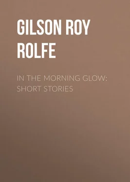 Roy Gilson In the Morning Glow: Short Stories обложка книги