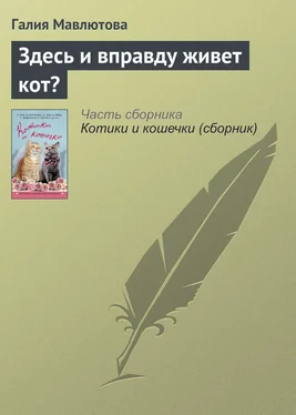 Галия Мавлютова Здесь и вправду живет кот? обложка книги