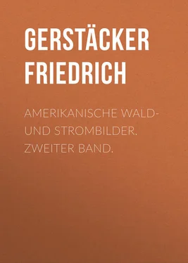 Friedrich Gerstäcker Amerikanische Wald- und Strombilder. Zweiter Band. обложка книги