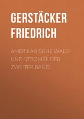Friedrich Gerstäcker - Amerikanische Wald- und Strombilder. Zweiter Band.