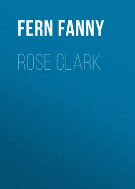 Fanny Fern Rose Clark обложка книги