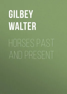 Walter Gilbey Horses Past and Present обложка книги