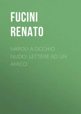 Renato Fucini Napoli a occhio nudo: Lettere ad un amico обложка книги