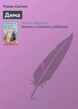 Роман Сенчин Дима обложка книги