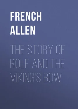 Allen French The Story of Rolf and the Viking's Bow обложка книги