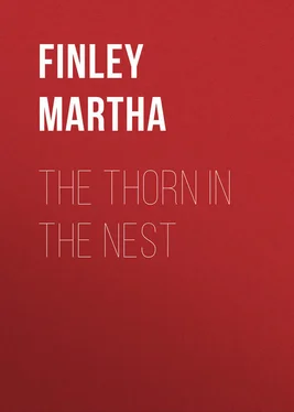 Martha Finley The Thorn in the Nest обложка книги