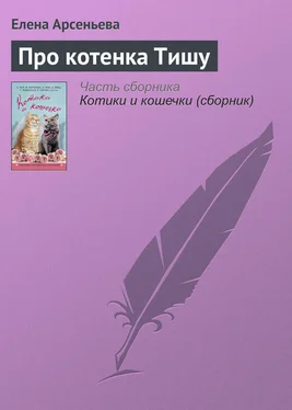 Елена Арсеньева Про котенка Тишу обложка книги