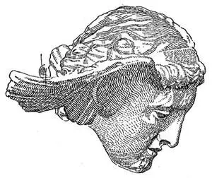 Fig 36 Hypnos She waits for each and other She waits for all men born - фото 38