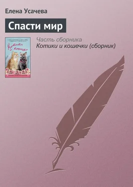 Елена Усачева Спасти мир обложка книги