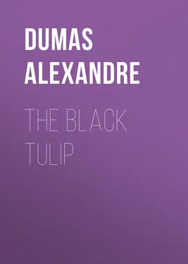 Alexandre Dumas The Black Tulip обложка книги