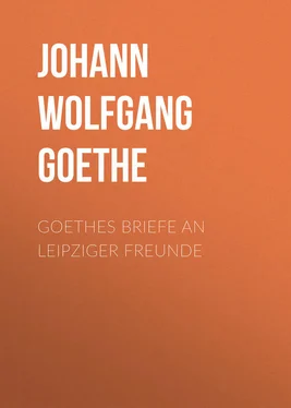 Johann von Goethe Goethes Briefe an Leipziger Freunde обложка книги