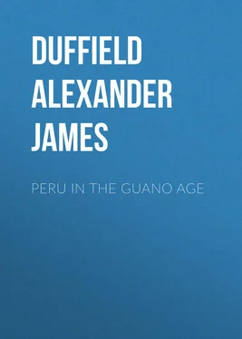 Alexander Duffield Peru in the Guano Age обложка книги