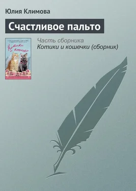 Юлия Климова Счастливое пальто обложка книги