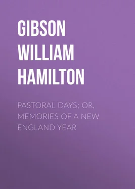 William Gibson Pastoral Days; or, Memories of a New England Year