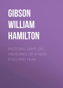 William Gibson Pastoral Days; or, Memories of a New England Year обложка книги