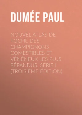 Paul Dumée Nouvel atlas de poche des champignons Comestibles et Vénéneux les plus répandus. Série I (Troisième édition) обложка книги