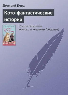 Дмитрий Емец Кото-фантастические истории обложка книги