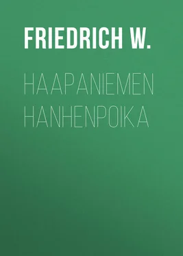 W. Friedrich Haapaniemen hanhenpoika обложка книги