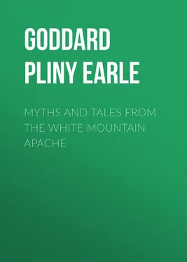 Pliny Goddard Myths and Tales from the White Mountain Apache обложка книги