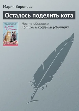 Мария Воронова Осталось поделить кота обложка книги