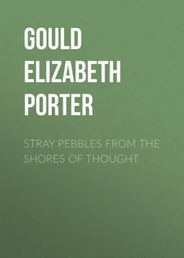Elizabeth Gould Stray Pebbles from the Shores of Thought обложка книги