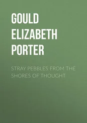 Elizabeth Gould - Stray Pebbles from the Shores of Thought
