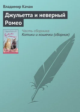 Владимир Качан Джульетта и неверный Ромео