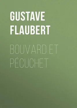 Gustave Flaubert Bouvard et Pécuchet обложка книги