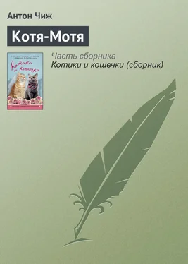 Антон Чиж Котя-Мотя обложка книги