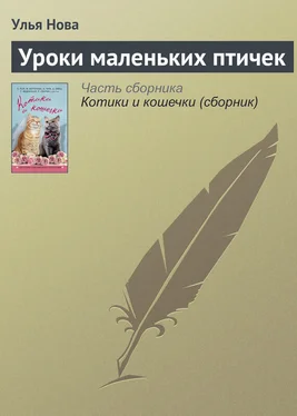 Улья Нова Уроки маленьких птичек обложка книги