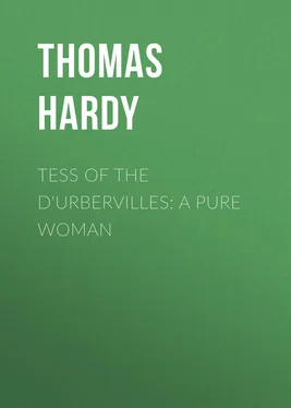Thomas Hardy Tess of the d'Urbervilles: A Pure Woman обложка книги