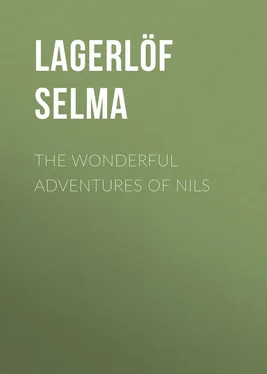 Selma Lagerlöf The Wonderful Adventures of Nils обложка книги