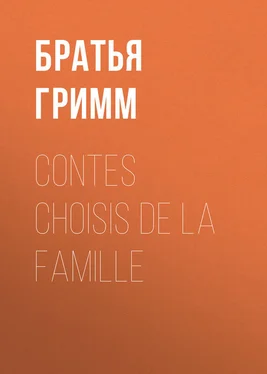 Якоб и Вильгельм Гримм Contes choisis de la famille обложка книги