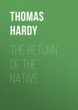 Thomas Hardy The Return of the Native обложка книги