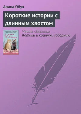 Арина Обух Короткие истории с длинным хвостом обложка книги