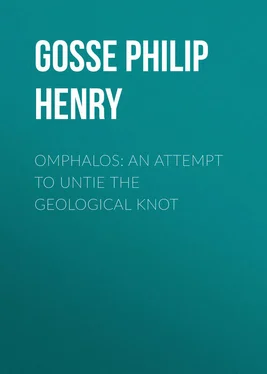Philip Gosse Omphalos: An Attempt to Untie the Geological Knot обложка книги