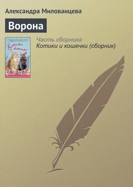 Александра Милованцева Ворона обложка книги