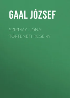 József Gaal Szirmay Ilona: Történeti regény обложка книги