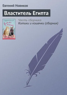 Евгений Новиков Властитель Египта обложка книги