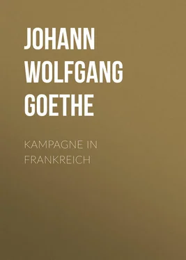 Johann von Goethe Kampagne in Frankreich обложка книги