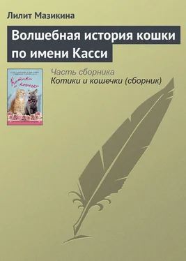 Лилит Мазикина Волшебная история кошки по имени Касси обложка книги