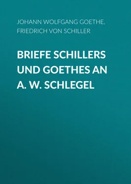 Johann von Goethe Briefe Schillers und Goethes an A. W. Schlegel обложка книги