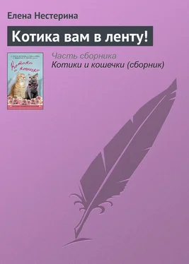 Елена Нестерина Котика вам в ленту! обложка книги