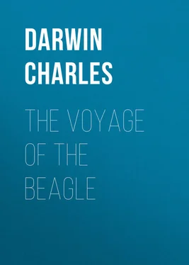 Charles Darwin The Voyage of the Beagle обложка книги