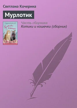 Светлана Кочерина Мурлотик обложка книги