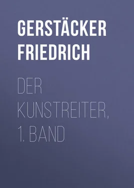 Friedrich Gerstäcker Der Kunstreiter, 1. Band обложка книги