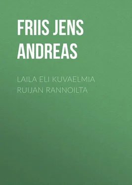 Jens Friis Laila eli Kuvaelmia Ruijan rannoilta обложка книги